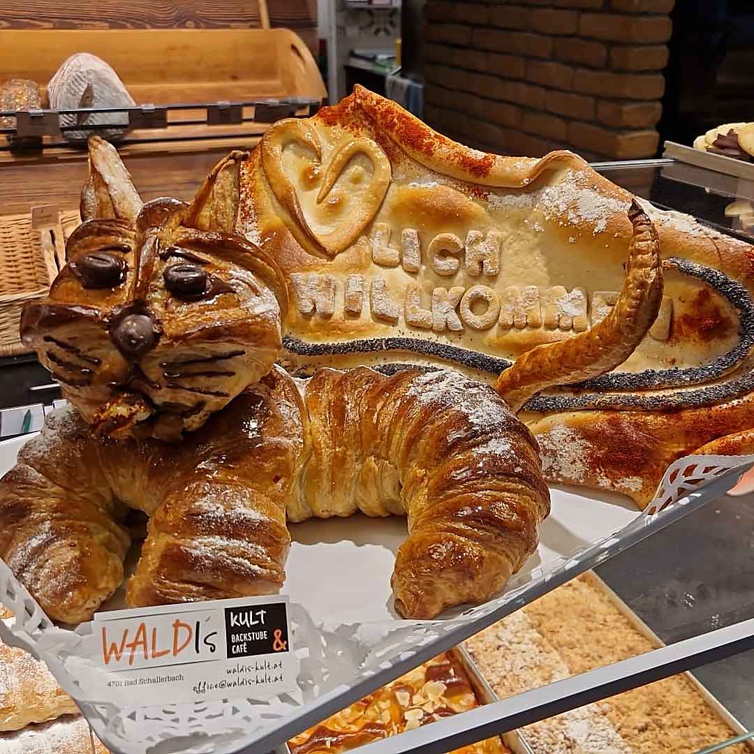 Waldis-Kult-Katze-001